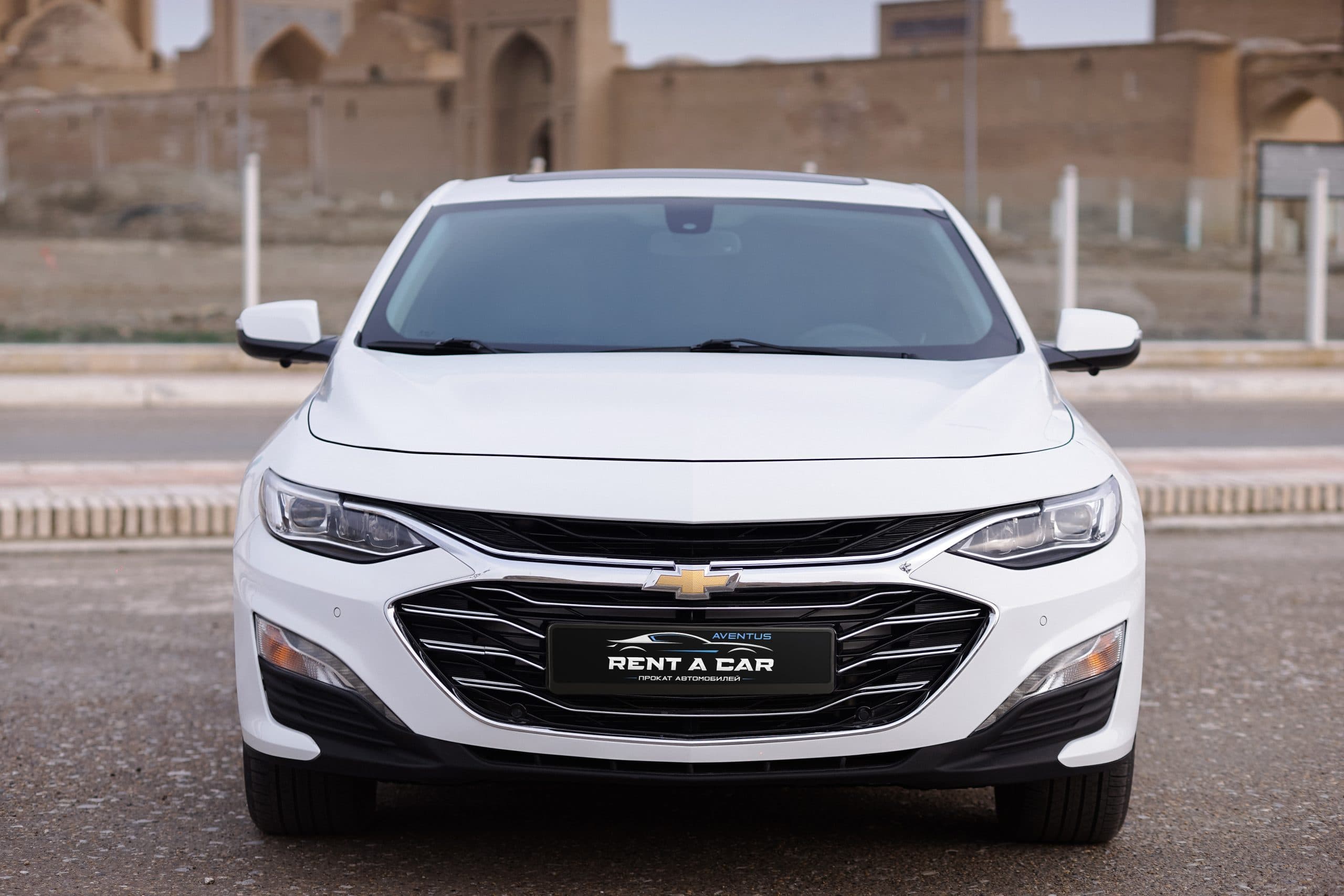 Chevrolet Malibu Premier белый — аренда в Бухаре